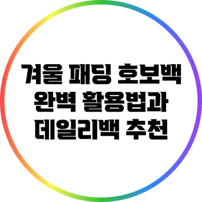 겨울 패딩 호보백 완벽 활용법과 데일리백 추천