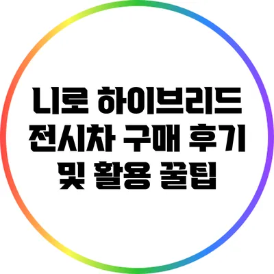 니로 하이브리드 전시차 구매 후기 및 활용 꿀팁