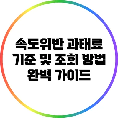 속도위반 과태료 기준 및 조회 방법 완벽 가이드
