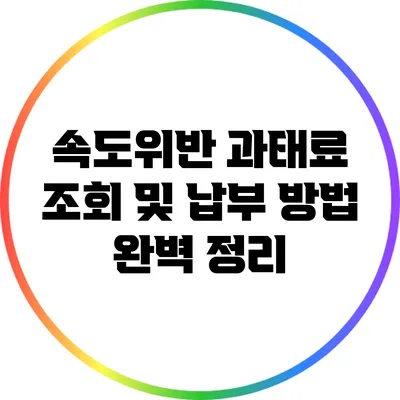 속도위반 과태료 조회 및 납부 방법 완벽 정리