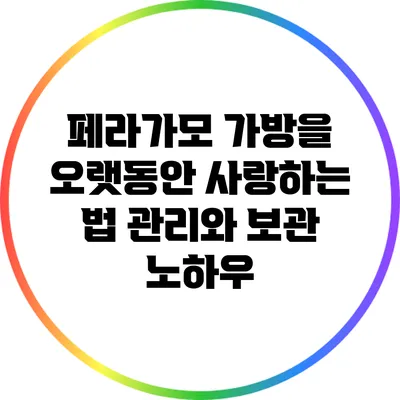 페라가모 가방을 오랫동안 사랑하는 법: 관리와 보관 노하우
