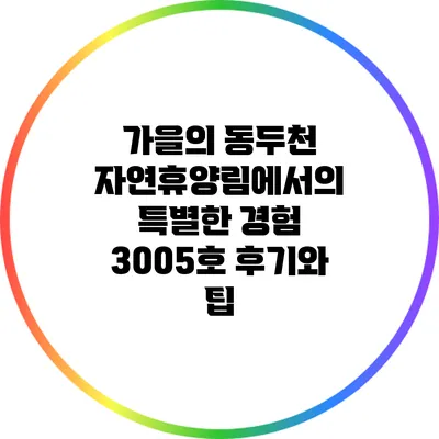 가을의 동두천 자연휴양림에서의 특별한 경험: 3005호 후기와 팁