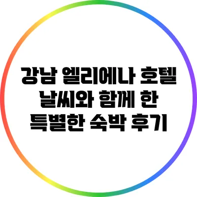강남 엘리에나 호텔: 날씨와 함께 한 특별한 숙박 후기