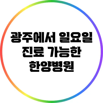 광주에서 일요일 진료 가능한 한양병원