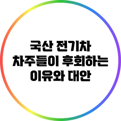 국산 전기차 차주들이 후회하는 이유와 대안
