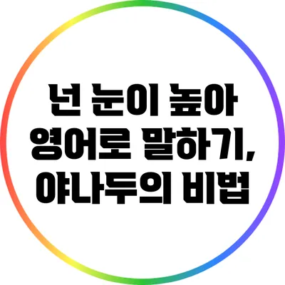 넌 눈이 높아? 영어로 말하기, 야나두의 비법