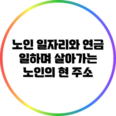 노인 일자리와 연금: 일하며 살아가는 노인의 현 주소