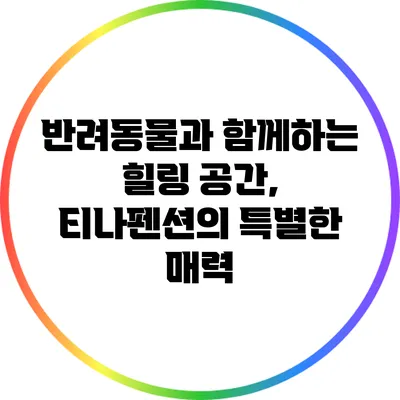 반려동물과 함께하는 힐링 공간, 티나펜션의 특별한 매력