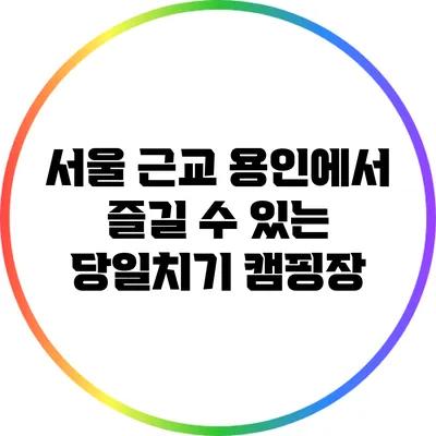 서울 근교 용인에서 즐길 수 있는 당일치기 캠핑장