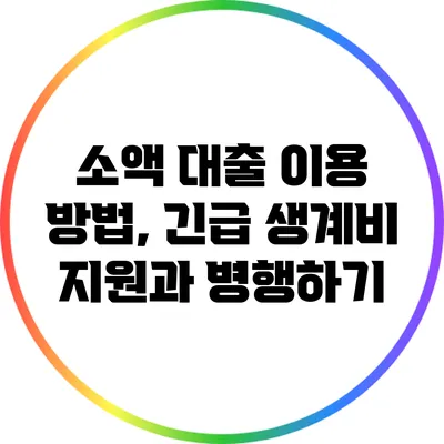 소액 대출 이용 방법, 긴급 생계비 지원과 병행하기