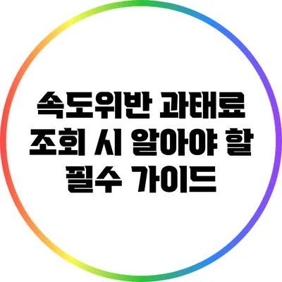 속도위반 과태료 조회 시 알아야 할 필수 가이드