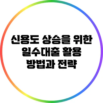 신용도 상승을 위한 일수대출 활용 방법과 전략