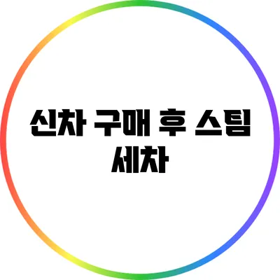신차 구매 후 스팀 세차