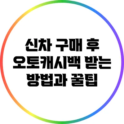 신차 구매 후 오토캐시백 받는 방법과 꿀팁