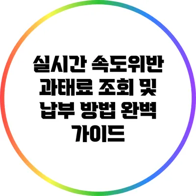 실시간 속도위반 과태료 조회 및 납부 방법 완벽 가이드