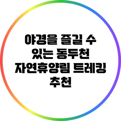 야경을 즐길 수 있는 동두천 자연휴양림 트레킹 추천