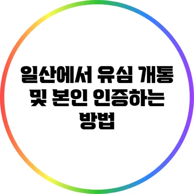 일산에서 유심 개통 및 본인 인증하는 방법