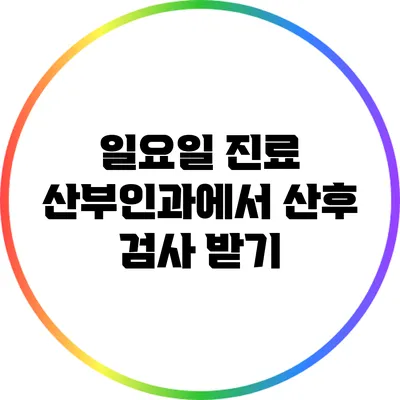 일요일 진료 산부인과에서 산후 검사 받기