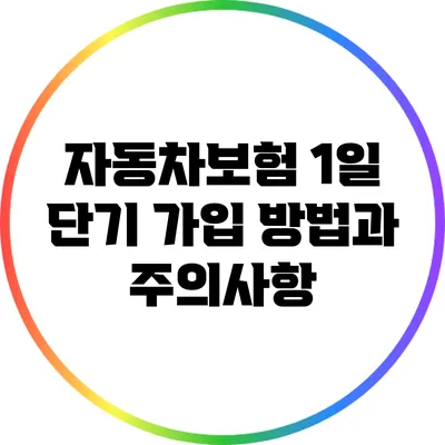 자동차보험 1일 단기 가입 방법과 주의사항