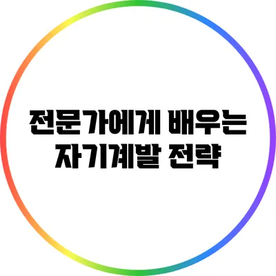 전문가에게 배우는 자기계발 전략