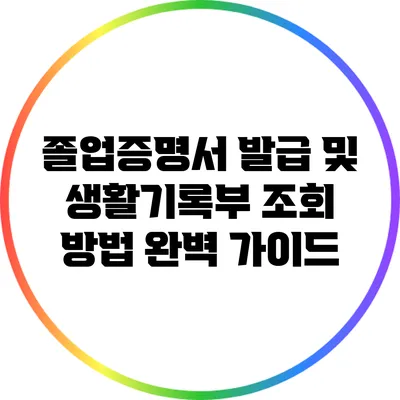 졸업증명서 발급 및 생활기록부 조회 방법 완벽 가이드