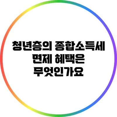 청년층의 종합소득세 면제 혜택은 무엇인가요?