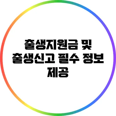 출생지원금 및 출생신고 필수 정보 제공