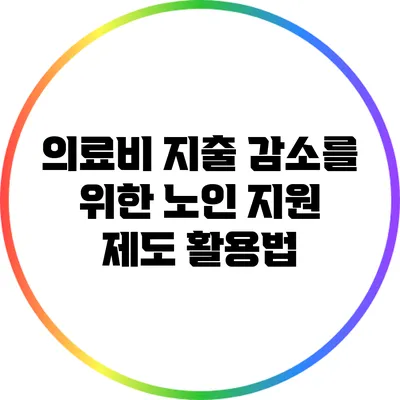 의료비 지출 감소를 위한 노인 지원 제도 활용법