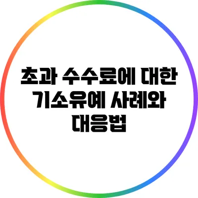 초과 수수료에 대한 기소유예 사례와 대응법