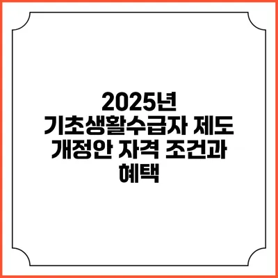 2025년 기초생활수급자 제도 개정안 자격 조건과 혜택