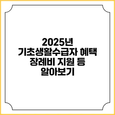 2025년 기초생활수급자 혜택 장례비 지원 등 알아보기