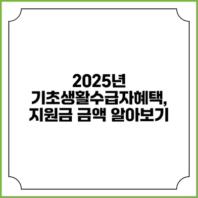 2025년 기초생활수급자혜택, 지원금 금액 알아보기