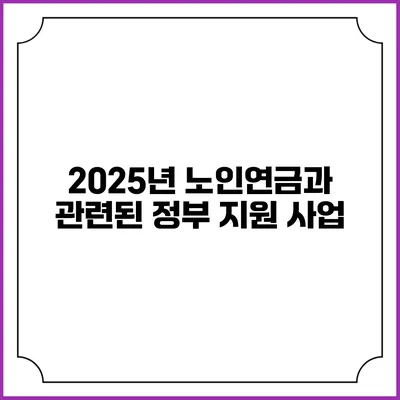 2025년 노인연금과 관련된 정부 지원 사업