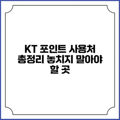KT 포인트 사용처 총정리 놓치지 말아야 할 곳