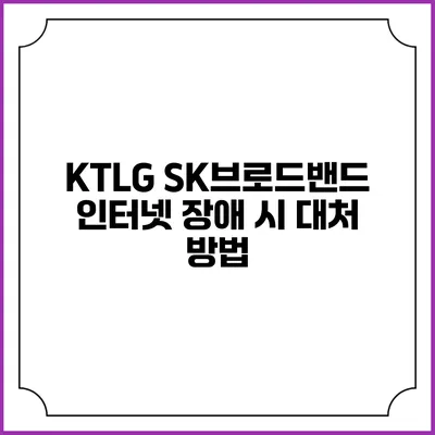KTLG SK브로드밴드 인터넷 장애 시 대처 방법