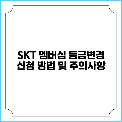 SKT 멤버십 등급변경 신청 방법 및 주의사항