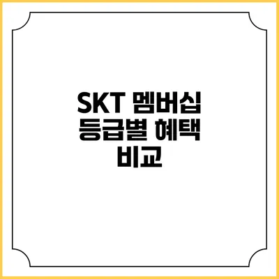 SKT 멤버십 등급별 혜택 비교