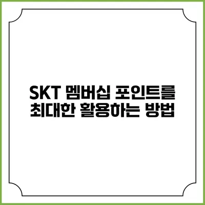 SKT 멤버십 포인트를 최대한 활용하는 방법