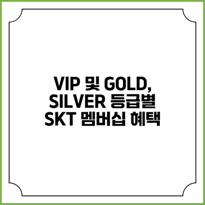 VIP 및 GOLD, SILVER 등급별 SKT 멤버십 혜택