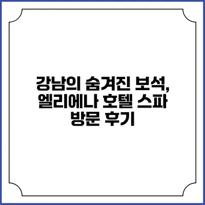 강남의 숨겨진 보석, 엘리에나 호텔 스파 방문 후기