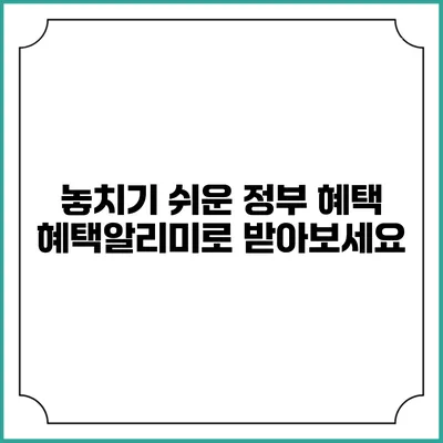 놓치기 쉬운 정부 혜택 혜택알리미로 받아보세요