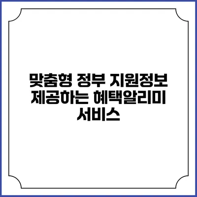 맞춤형 정부 지원정보 제공하는 혜택알리미 서비스