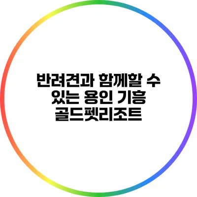 반려견과 함께할 수 있는 용인 기흥 골드펫리조트