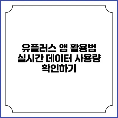 유플러스 앱 활용법 실시간 데이터 사용량 확인하기