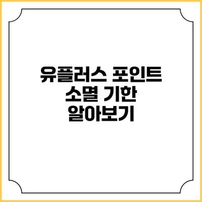 유플러스 포인트 소멸 기한 알아보기