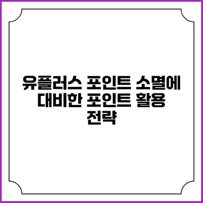 유플러스 포인트 소멸에 대비한 포인트 활용 전략