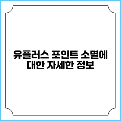 유플러스 포인트 소멸에 대한 자세한 정보