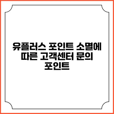 유플러스 포인트 소멸에 따른 고객센터 문의 포인트