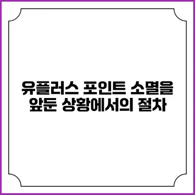 유플러스 포인트 소멸을 앞둔 상황에서의 절차
