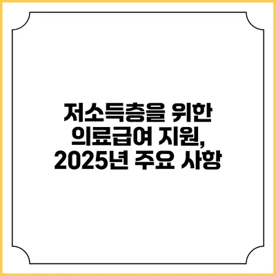 저소득층을 위한 의료급여 지원, 2025년 주요 사항